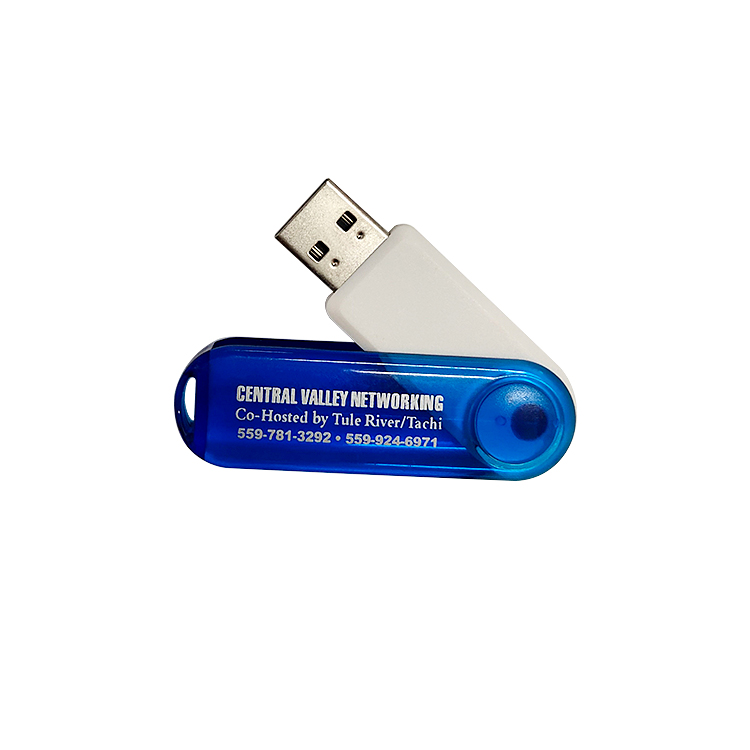 Custom company logo wholesale bulk cheap Cheapest swivel usb flash drive LWU225